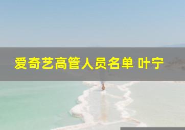 爱奇艺高管人员名单 叶宁